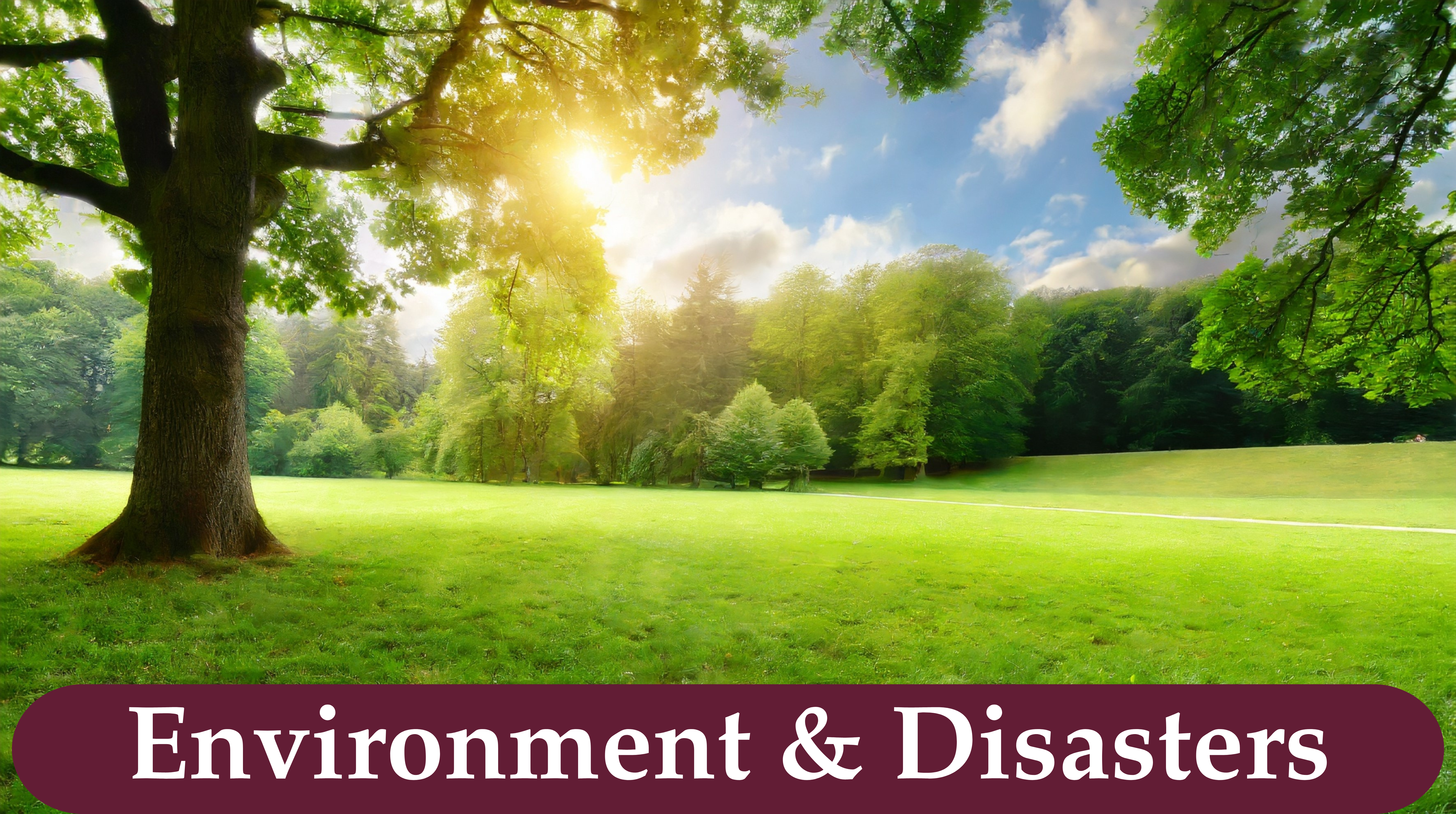 Environment & Disasters