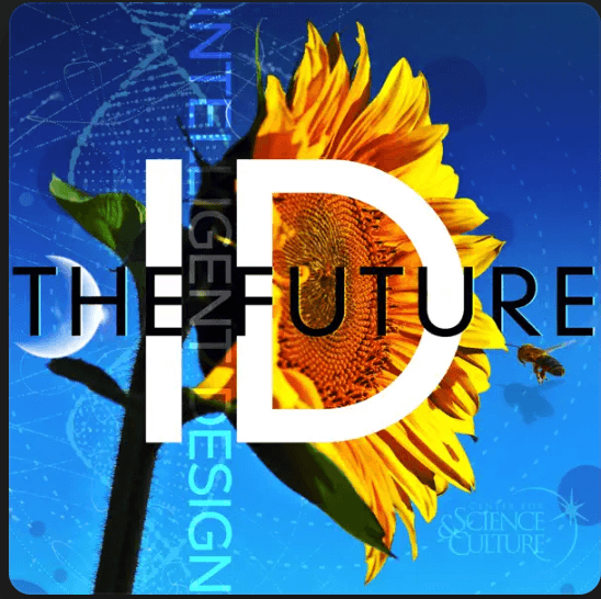 Di Intelligent Design the Future