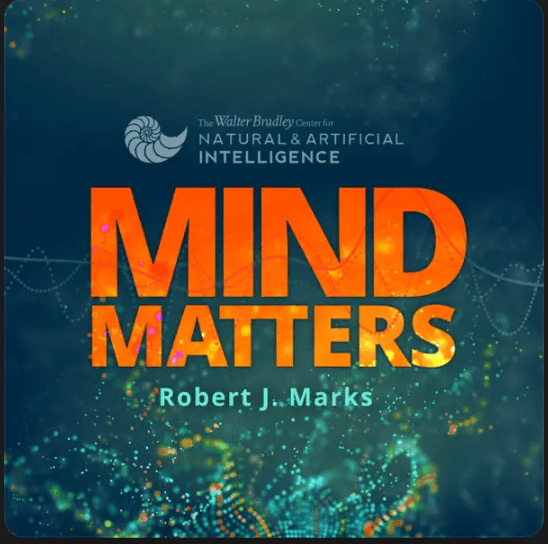 DI Mind Matters