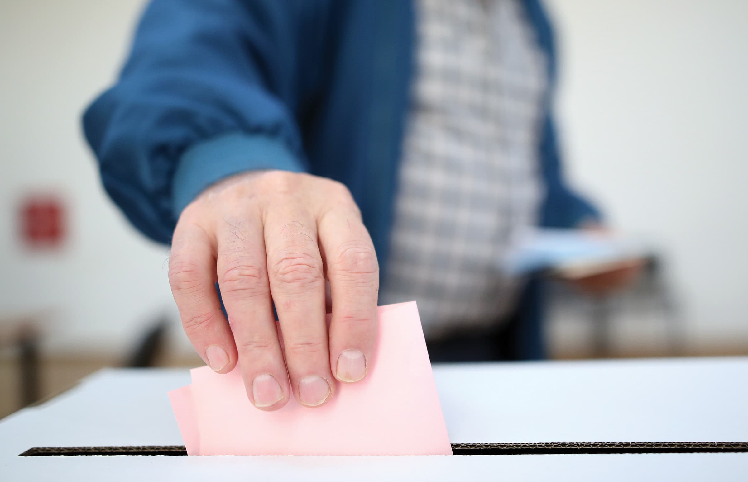 Why vote