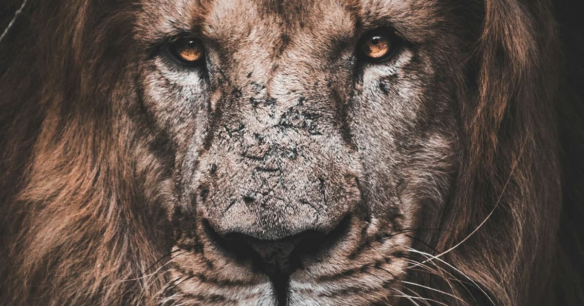 Christlike Courage in Moments of Confrontation