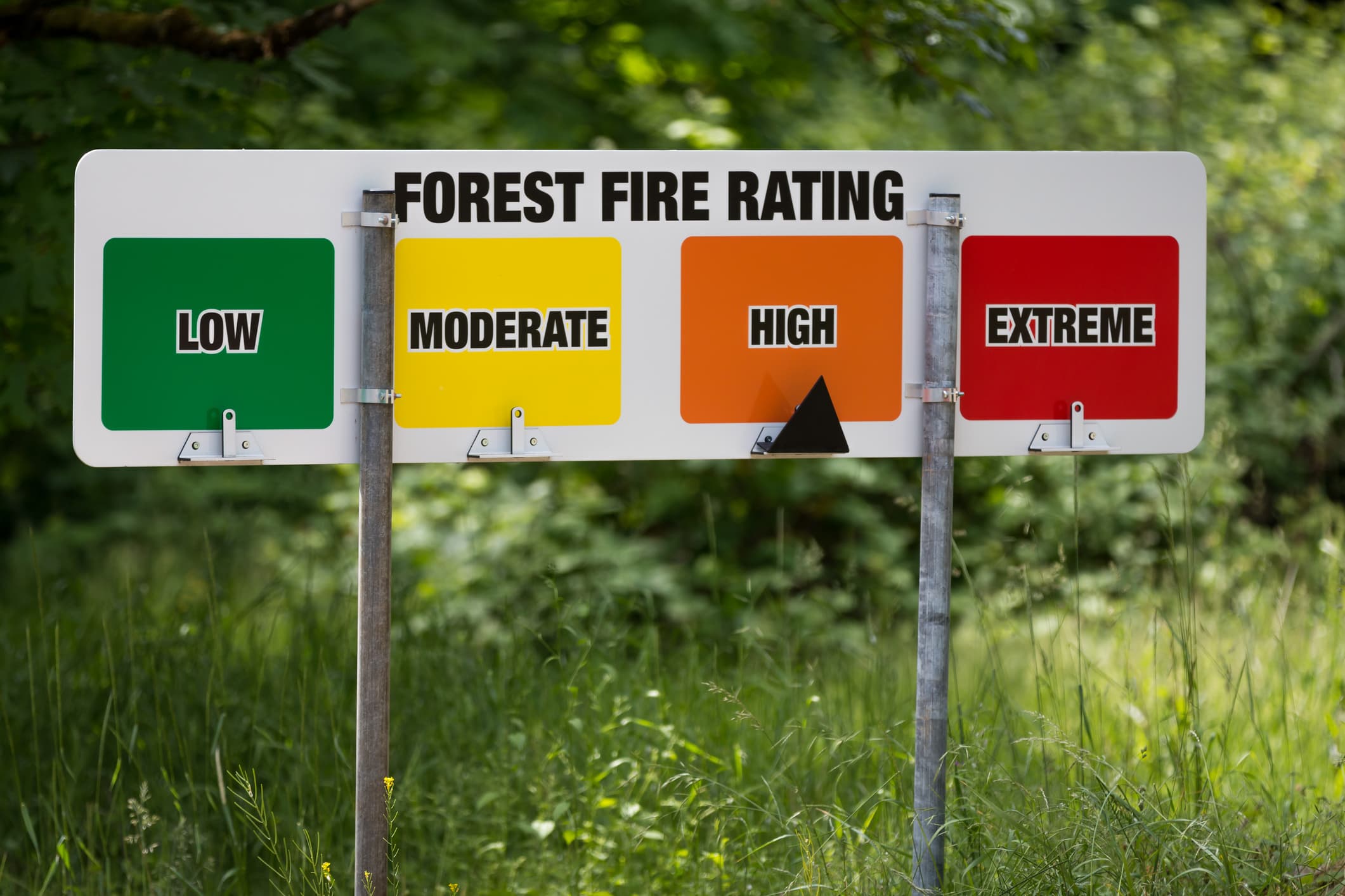 Wildfire Risk Demands a More Flexible Approach to Roadless Areas